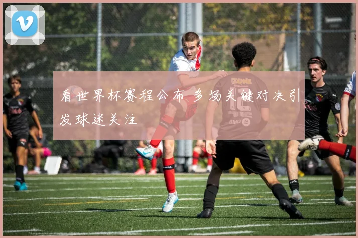 看世界杯赛程公布 多场关键对决引发球迷关注