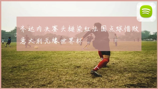 齐达内决赛头槌染红法国点球惜败意大利无缘世界杯